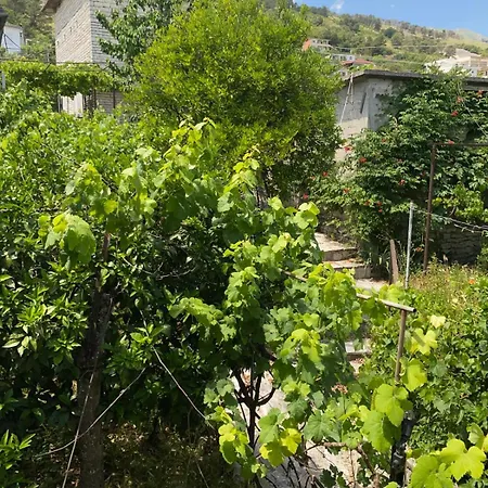 Flowers House
