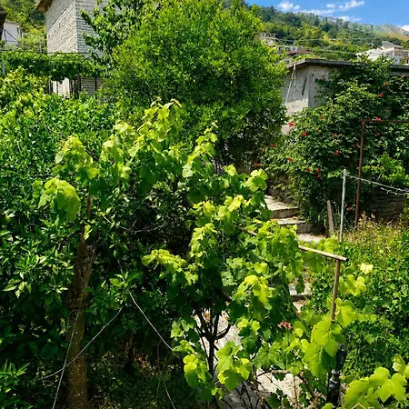 Flowers House Villa Gjirokaster